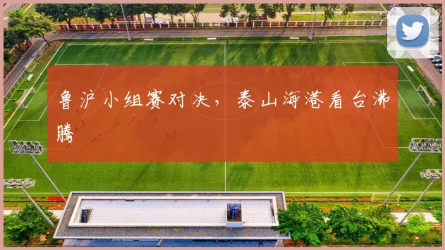 鲁沪小组赛对决,泰山海港看台沸腾