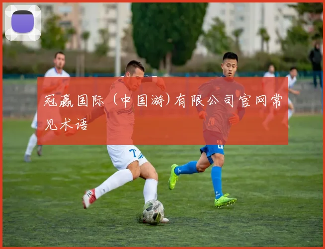 冠赢国际 (中国游)有限公司官网常见术语