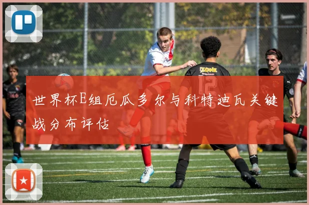 世界杯E组厄瓜多尔与科特迪瓦关键战分布评估