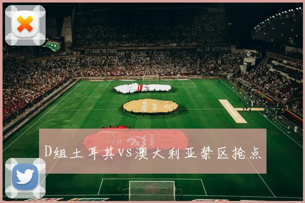 D组土耳其vs澳大利亚禁区抢点